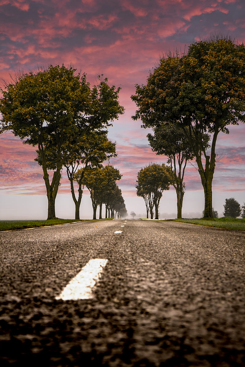 low angle graphy of asphalt road, HD phone wallpaper