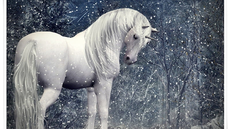 Unicorn in a Snowy Forest, mystical, woods, trees, unicorns, horses, snow, horn, nature, animals, HD wallpaper