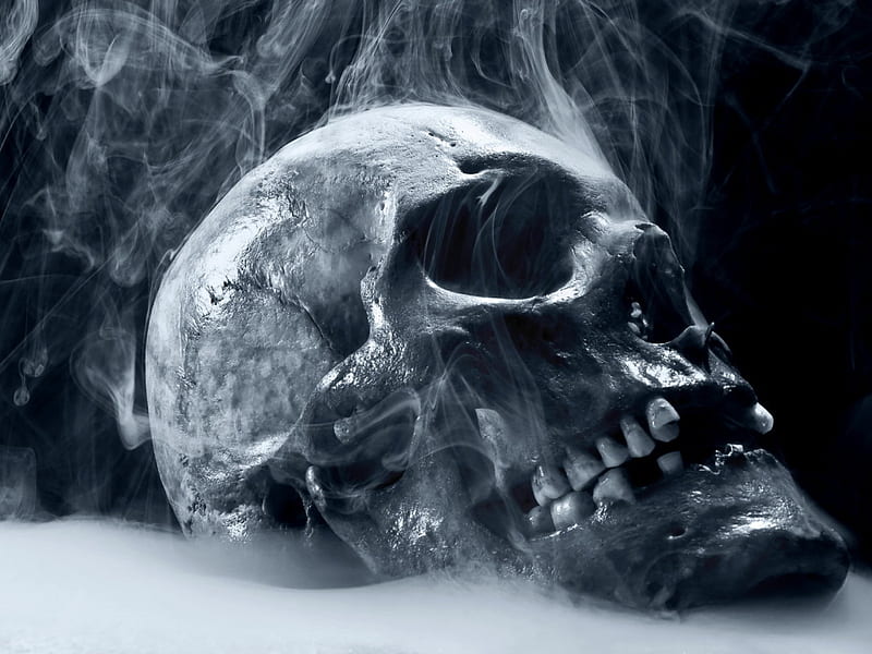 Smoking skull, skulls, skelleton, head, human, HD wallpaper