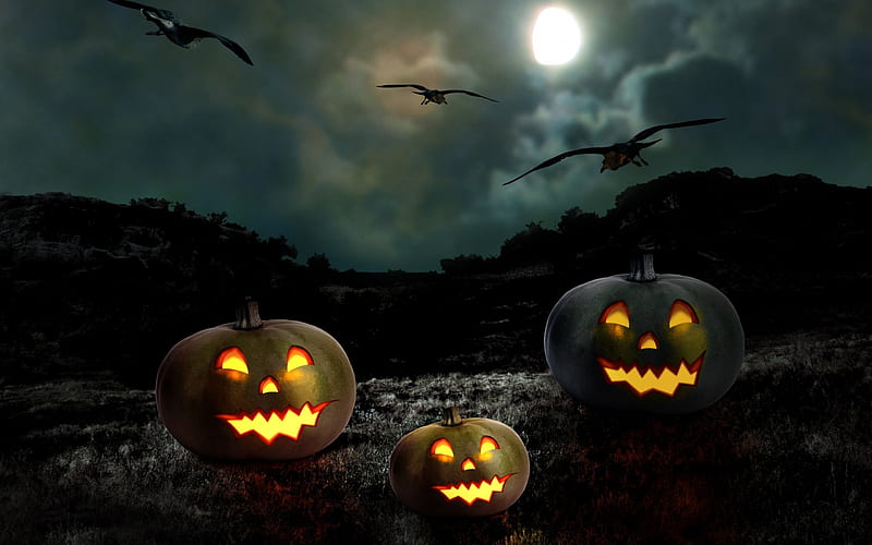 Halloween, pumpkins, bats, darkness, HD wallpaper