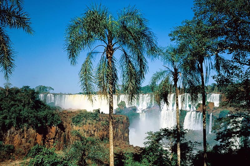 Nature, Water, Waterfalls, Waterfall, Vegetation, , Argentina, Iguazu Falls, HD wallpaper