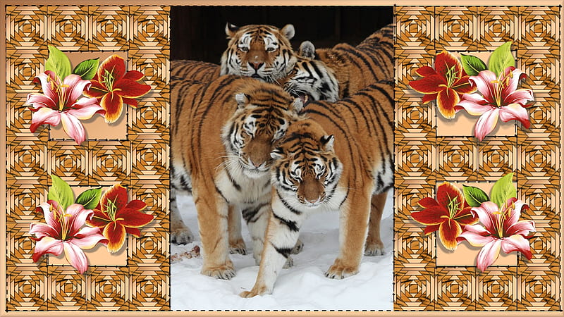 Tiger Family, tigers, quilt, snow, tiger lily, HD wallpaper