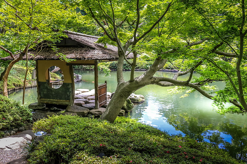 Japanese zen garden, japanese, nature