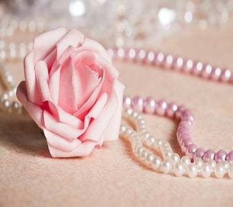 Luxurious 3D Pink Silk Flowers Pearls Lace and Butterflies Wallpaper –  beddingandbeyond.club