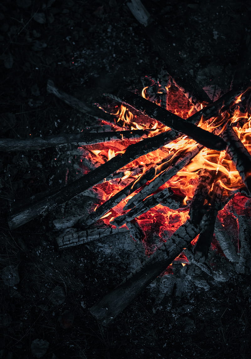 bonfire, fire, coals, firewood, HD phone wallpaper