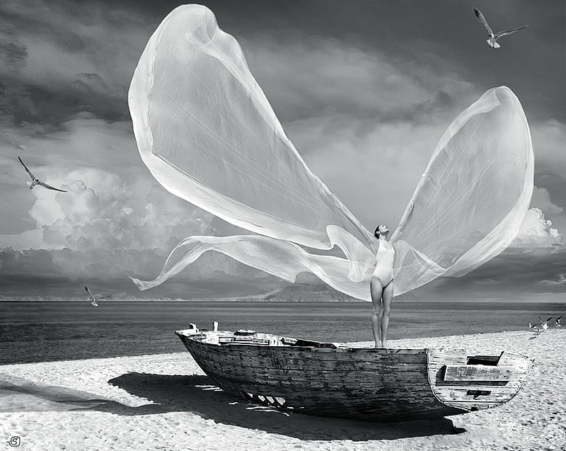 Queen for a day, black and white, bonito, woman, clouds, sea, beach, graphy, sand, boat, butterfly, female, wings, wind, birds, sky, girl, body, air, HD wallpaper