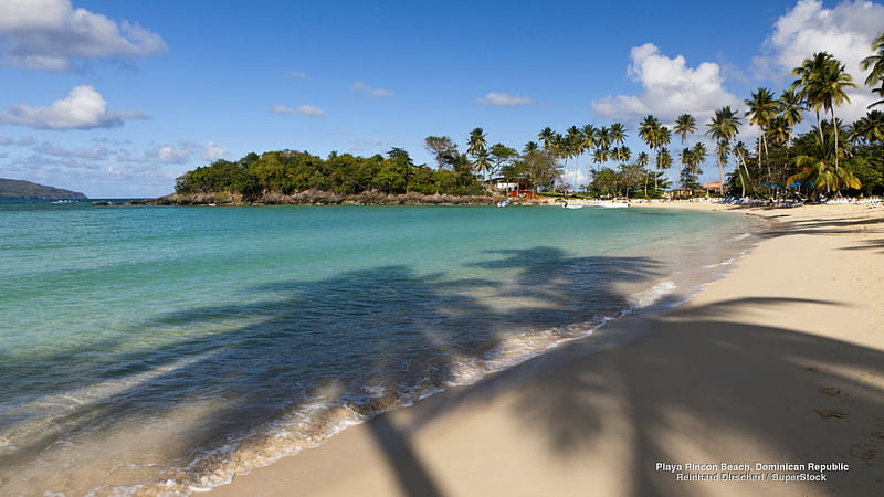 Playa Rincon Beach, Palm tree, beach, Dominican Republic, Island, HD wallpaper