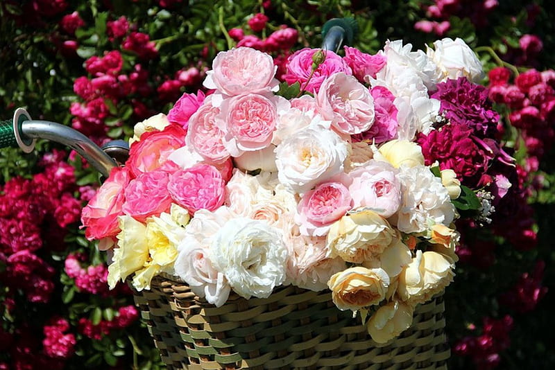 Flower Bouquet, blossoms, summer, Paeonia, basket, HD wallpaper
