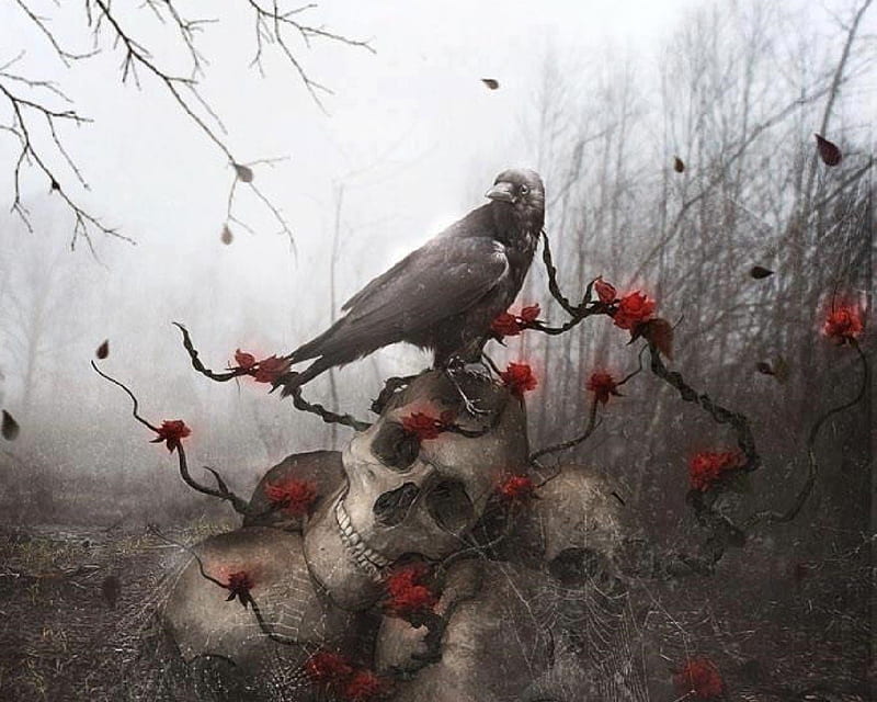 Crow And Skulls, Spider webs, Cloudy, Woods, Skulls, Red Flowers, Crow, HD wallpaper