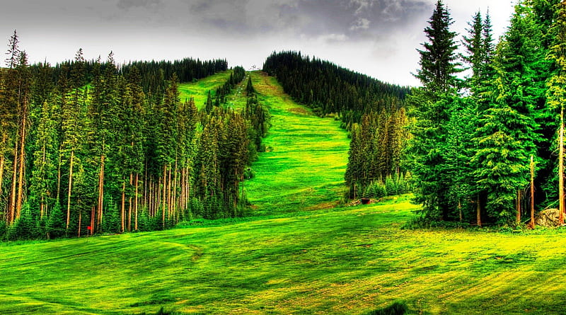 beautiful mountain ski slope in summer r, mountain, grass, lift, summer, r, trees, HD wallpaper