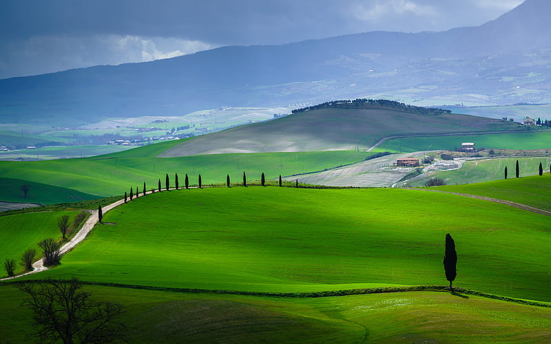 Italy, Tuscany, green hills, summer, Europe, beautiful nature, HD wallpaper