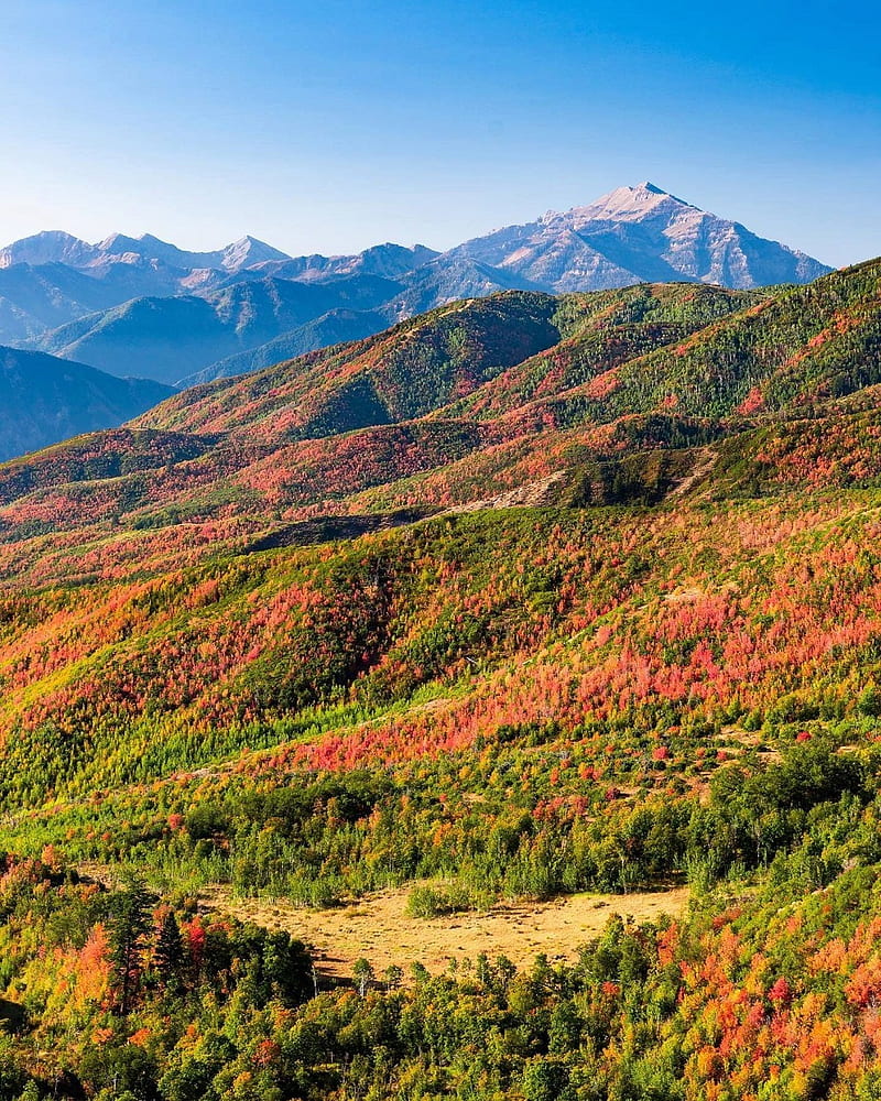 Alpine Loop Utah, din, fall, fall nature, mountains, nature, scene, season, sunset, HD phone wallpaper