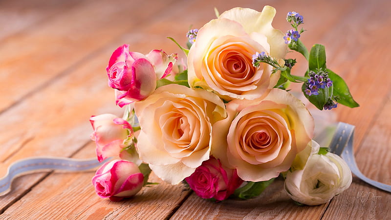 Sweet Roses, valentines day, anniversary, fragrant, apricot, flowers, roses, pink, wood, HD wallpaper