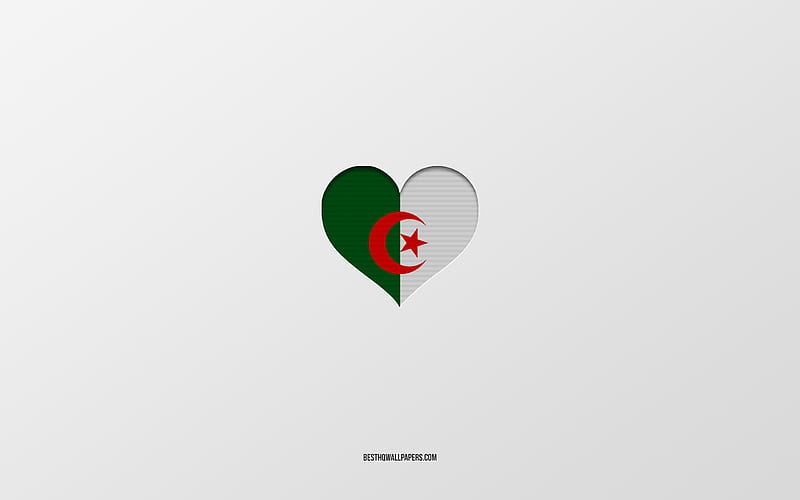 I Love Algeria, Africa countries, Algeria, gray background, Algeria flag heart, favorite country, Love Algeria, HD wallpaper
