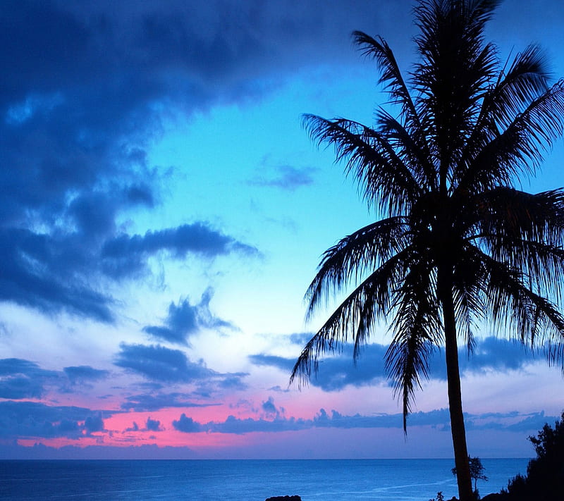 Blue Sunset, blue, sunset, HD wallpaper | Peakpx