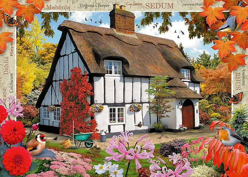 Sedum Cottage, house, autumn, leaves, painting, birds, flowers, artwork, HD wallpaper