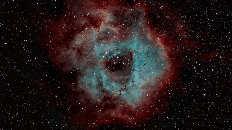 Rosette Galaxy Nebula Glare Stars Shine Black Sky Galaxy, HD wallpaper