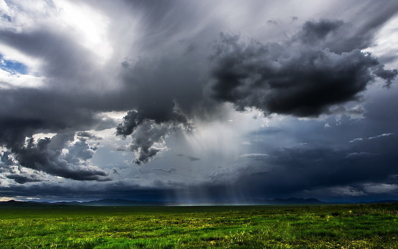 rain clouds over fields, grass, fields, rain, clouds, stormy, HD wallpaper