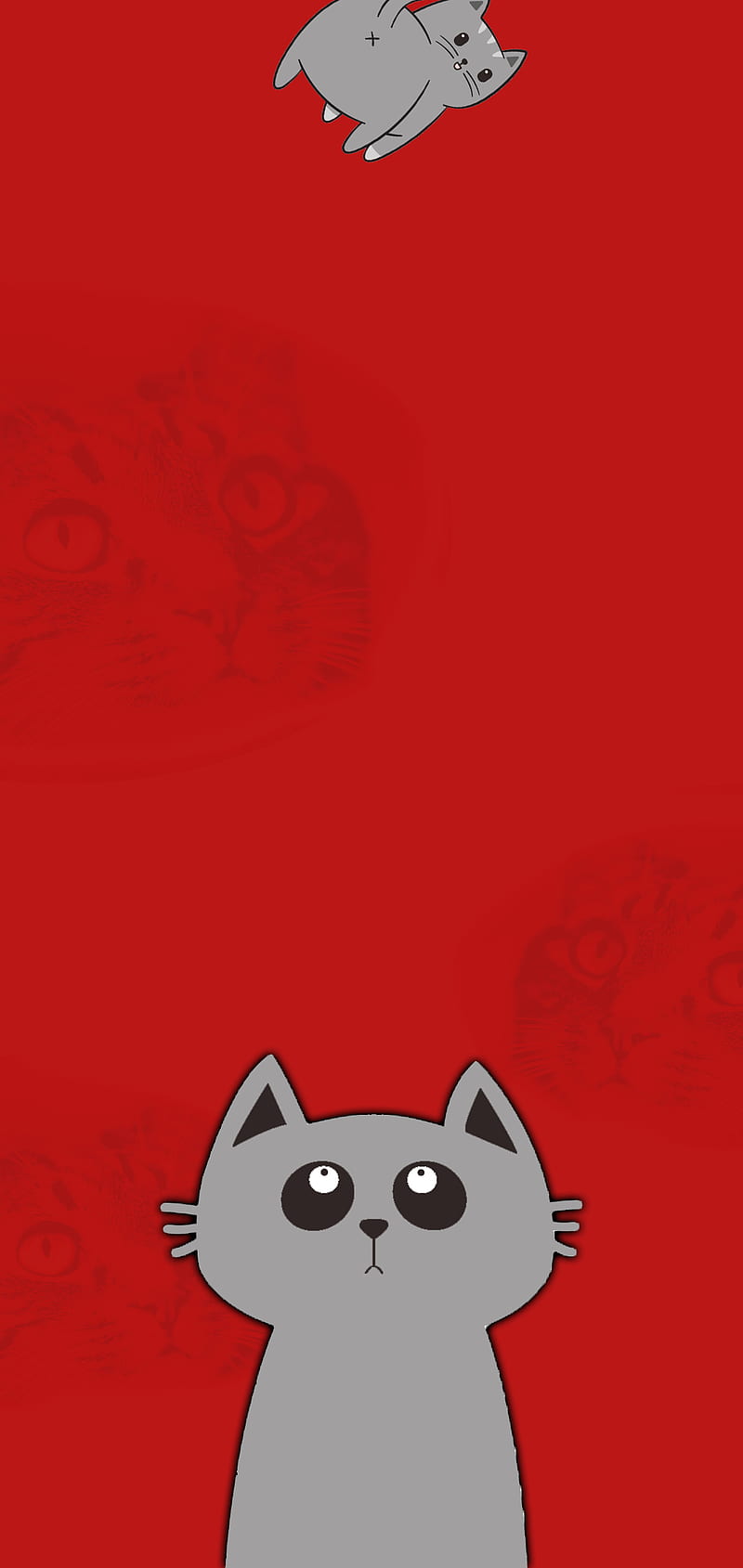 Punch hole cat, a51, cat, funny, notch, note 10, punchhole, s20, HD phone  wallpaper | Peakpx