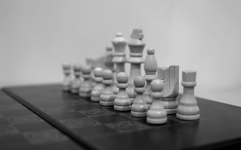 white chess, all figures, monochrome chess , game, chess board, wooden chess, HD wallpaper