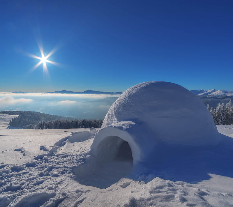 Snow Dome, house, ice, igloo, season, winter, HD wallpaper