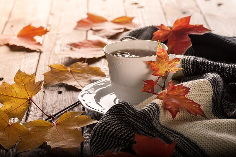 Food, Coffee, Leaf, Cup, Still Life, HD wallpaper | Peakpx
