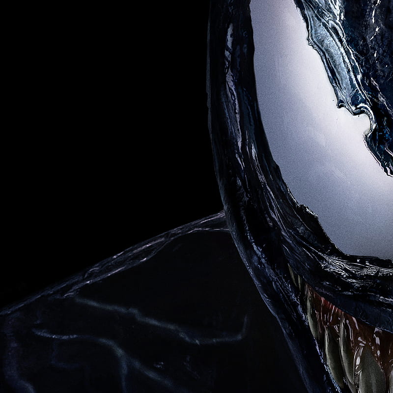 1920x1080px, 1080P free download | Venom, love, skull, skulls, mortal ...