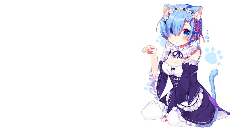 Rezero, cat ear, kawaii, rem, HD wallpaper