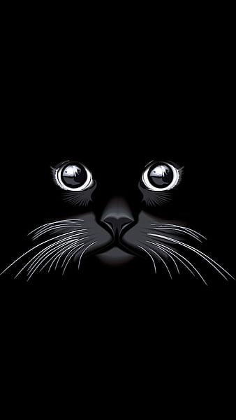 Cute Cat White Art Wallpapers - Cute Cat Wallpapers for iPhone 4k