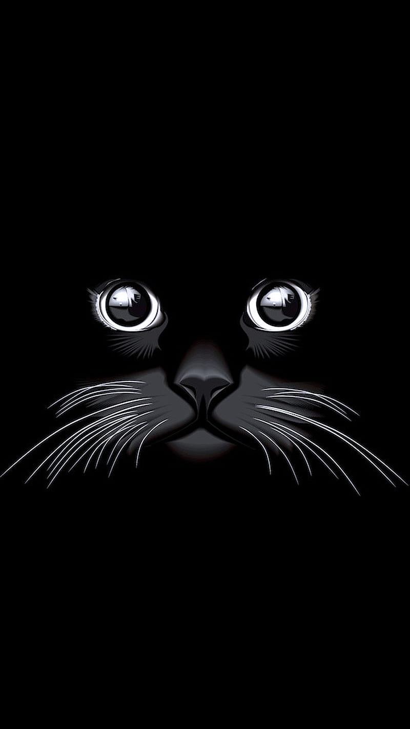 Black cat, black, cat, HD phone wallpaper
