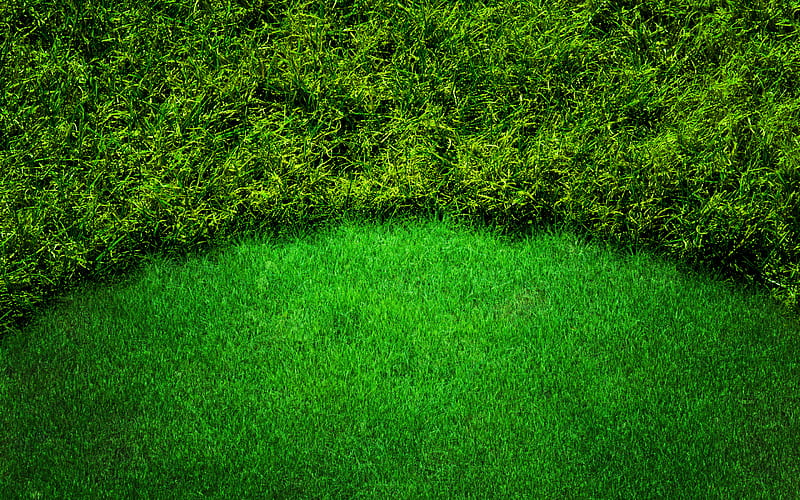 grassy lawn green grass texture, macro, green background, grass textures, grass from top, grass background, green grass, HD wallpaper