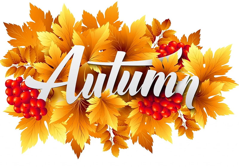 Autumn, red, berry, orange, word, card, leaf, HD wallpaper