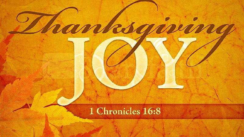 Thanksgiving Joy Thanksgiving, HD wallpaper