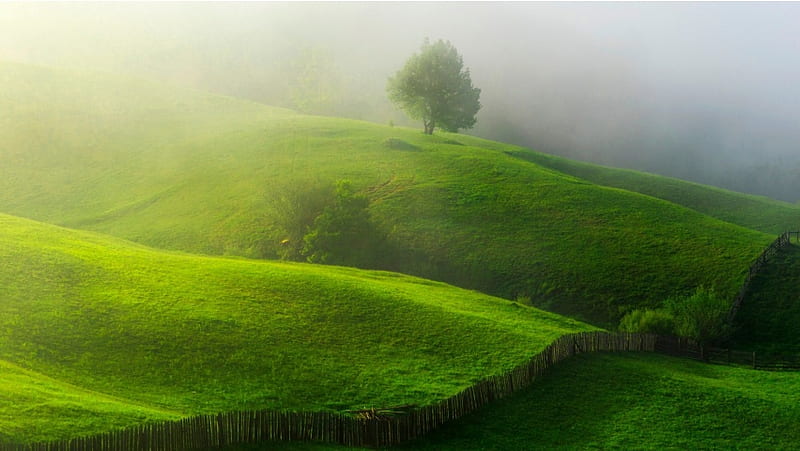 Thick Mist On Green Hills, HD wallpaper