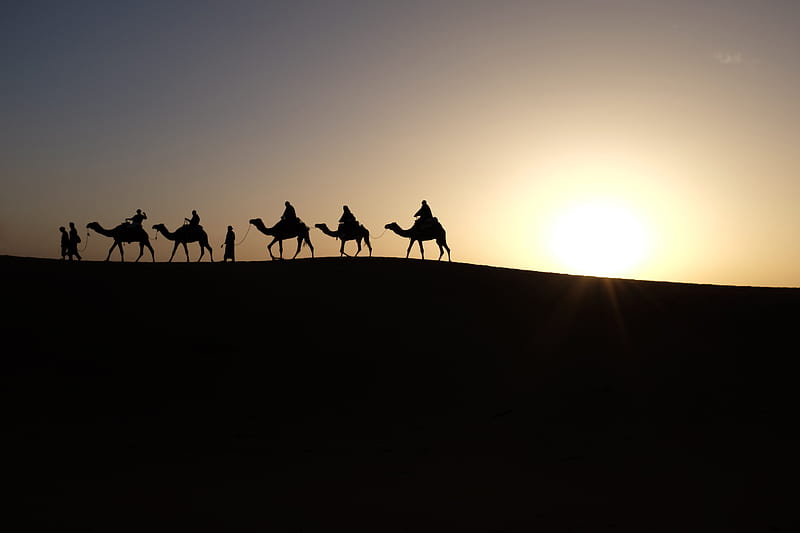 # , #camel, # , #wise king, #three wise man, #travel, #starry night, #hot, #desert, #, #christmas, # sunrise, #man, # background, #sun, wise man, #sahara, #sunset, #journey, #go, #silhouette, HD wallpaper