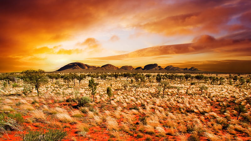 Australia sand, desert, sunset, HD wallpaper