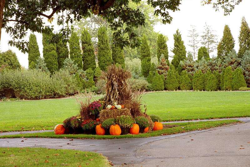 Autumn Estate Garden, Fall Season, Gardens, Pumpkins, Autumn, Nature, HD wallpaper