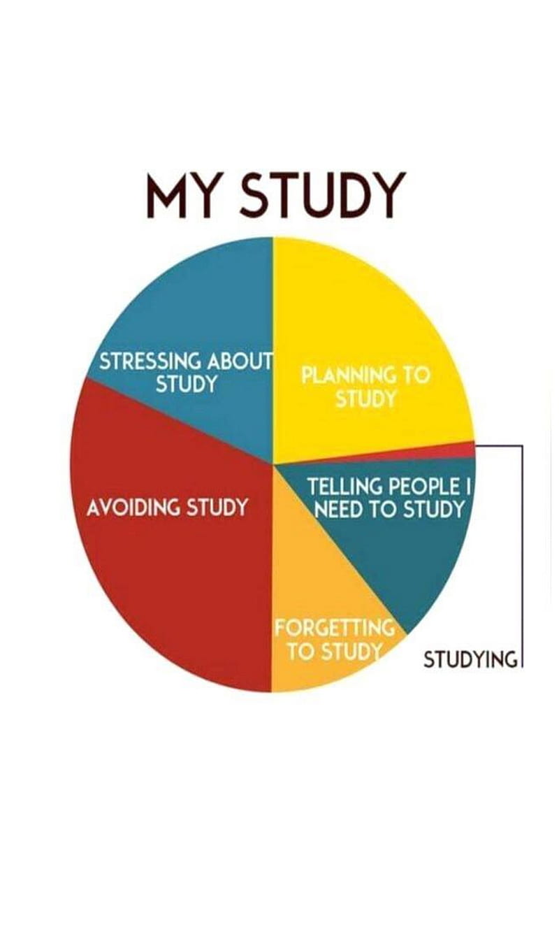 My Study, avoid, forget, plan, stress, student, HD phone wallpaper | Peakpx