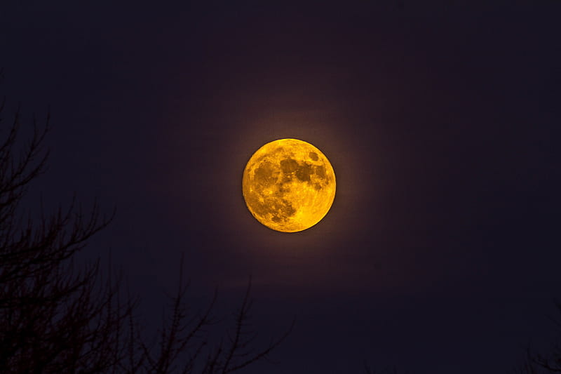 Full moon, moon, yellow, black, night, HD wallpaper | Peakpx