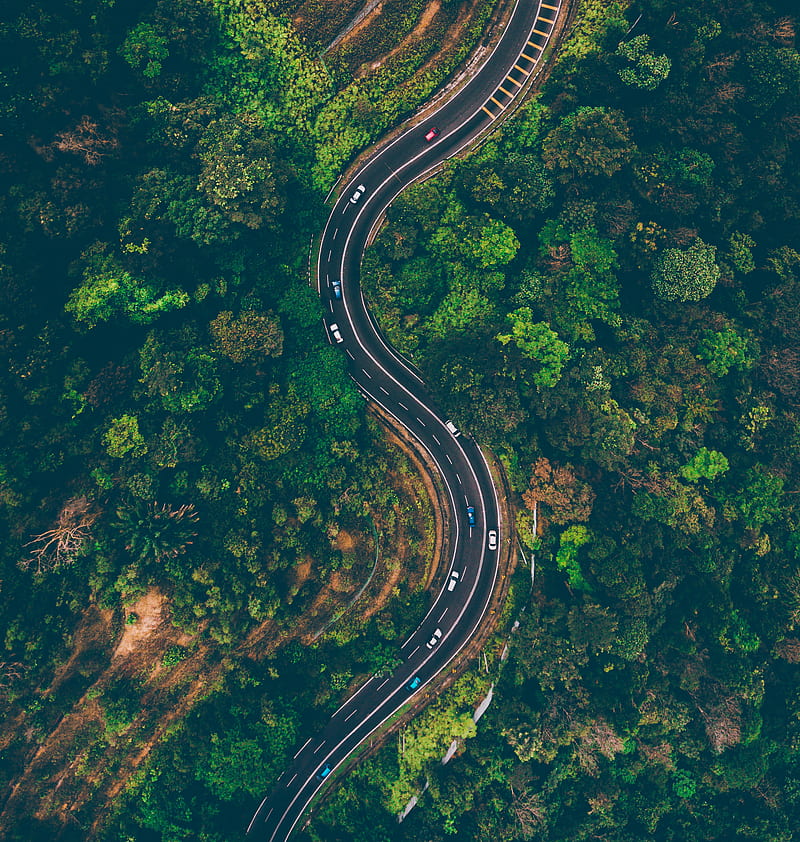 top view of cars on road surrounded by trees, HD phone wallpaper
