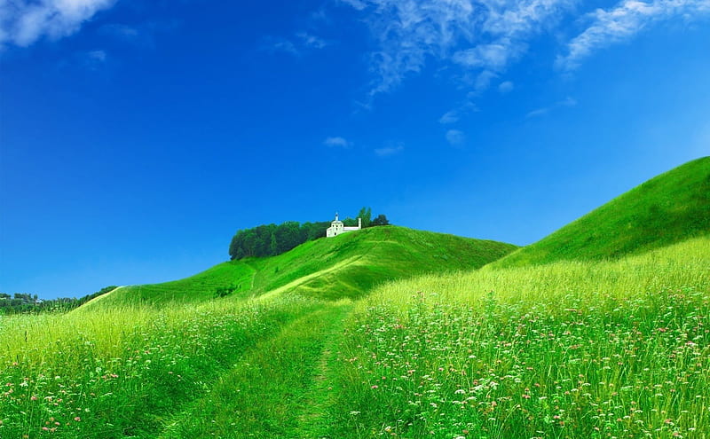 *** Beautiful view ... beautiful meadow ... ***, nature, sky, graas, meadow, HD wallpaper