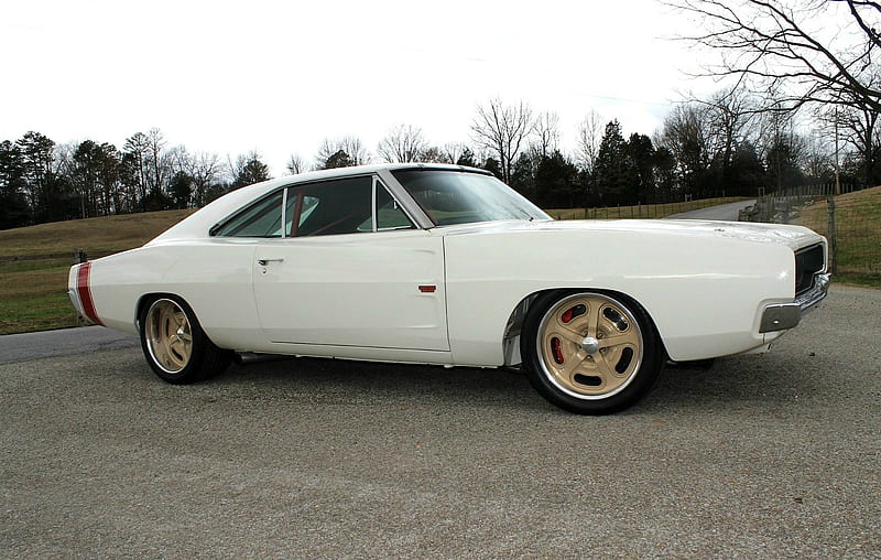 White Charger, Classic, Roll Cage, Mopar, Muscle, HD wallpaper