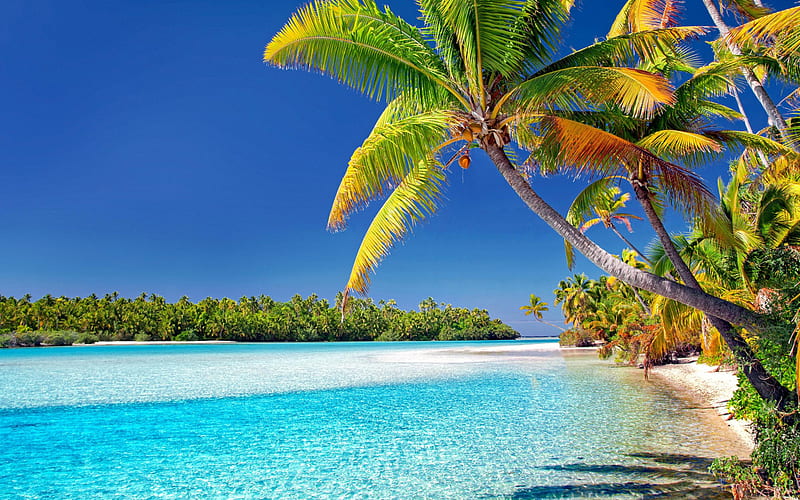 Cook islands, beach, sunny day , , Full , TV, F, , , 1280X800 Beach, HD wallpaper