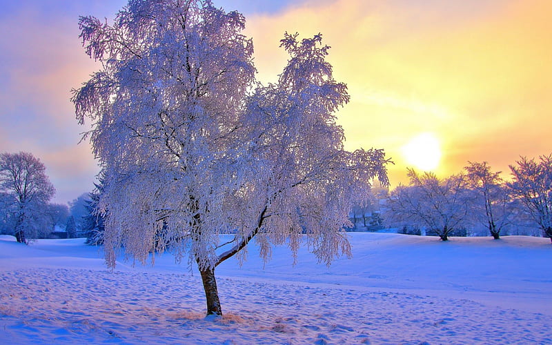 Breathtaking Winterscape, nature, snow, sunsets, winter, HD wallpaper