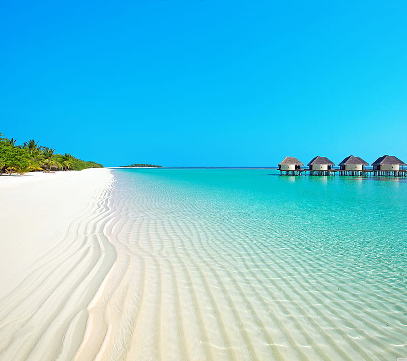beach, blue, cool, green, house, new, palm, paradise, sand, sea, sky, super, HD wallpaper