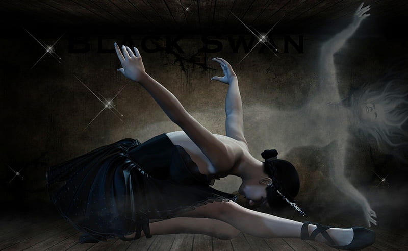 Dying black swan, spirit, stars, fantasy, sawn, black, dying, HD wallpaper