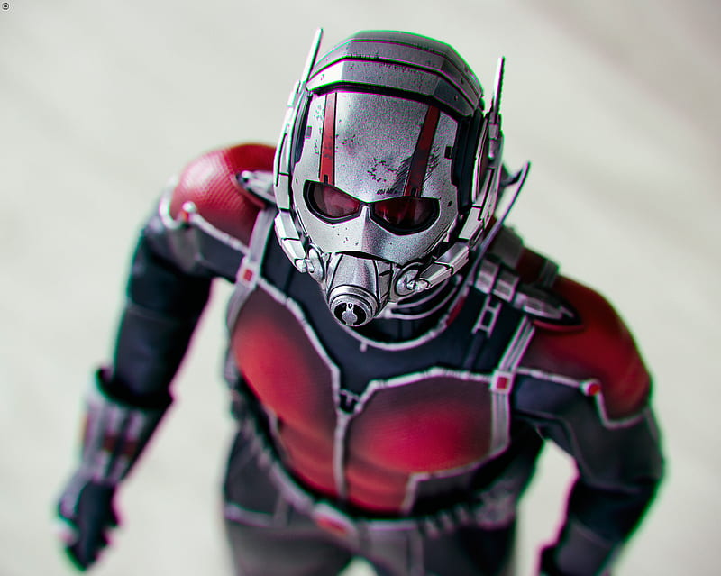 Ant Man A Soldier Size Of An Insect, ant-man, flickr, artist, HD wallpaper
