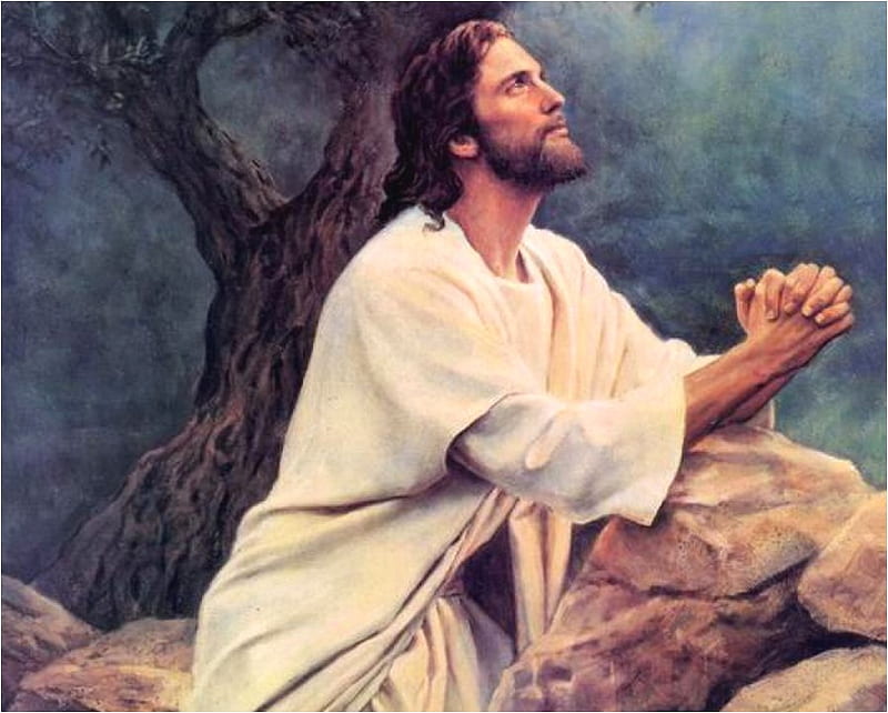 Jesus praying  3D and CG  Abstract Background Wallpapers on Desktop Nexus  Image 1694929