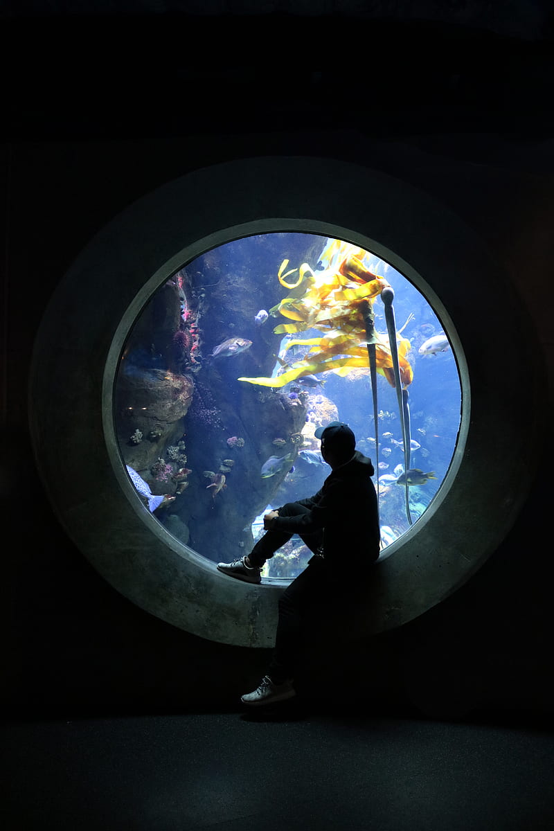 Underwater Window and A Man Sitting Wearing Hat, HD phone wallpaper