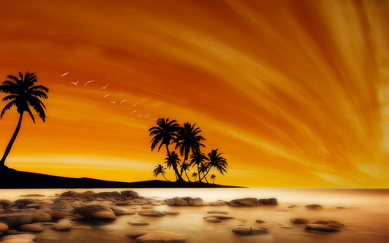 sunset, sea, ocean, palms, blur, summer, HD wallpaper